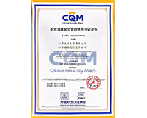 职业健全安全治理系统